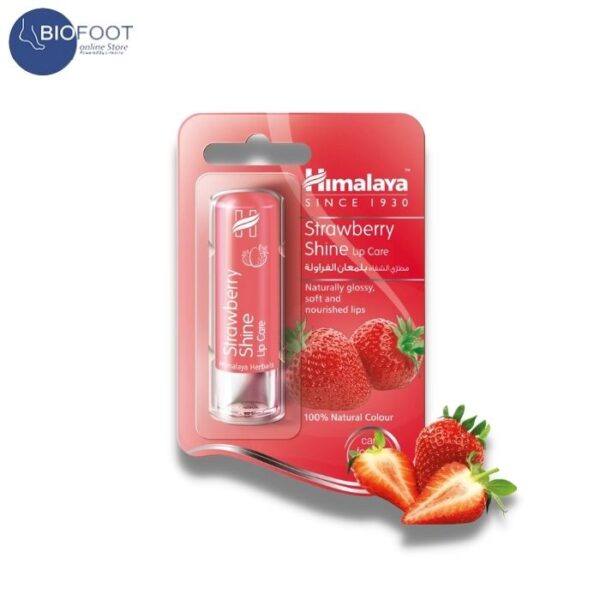 HIMALAYA LIP BALM 4.5G