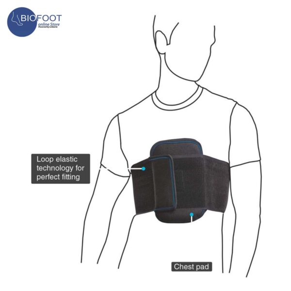Vissco Core Sternal Brace 0626 Special - Image 2