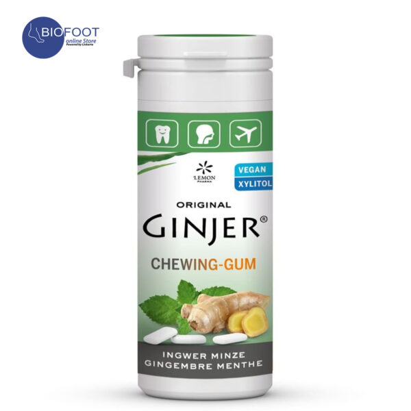 Ginjer Chewing Gum Mint 30g