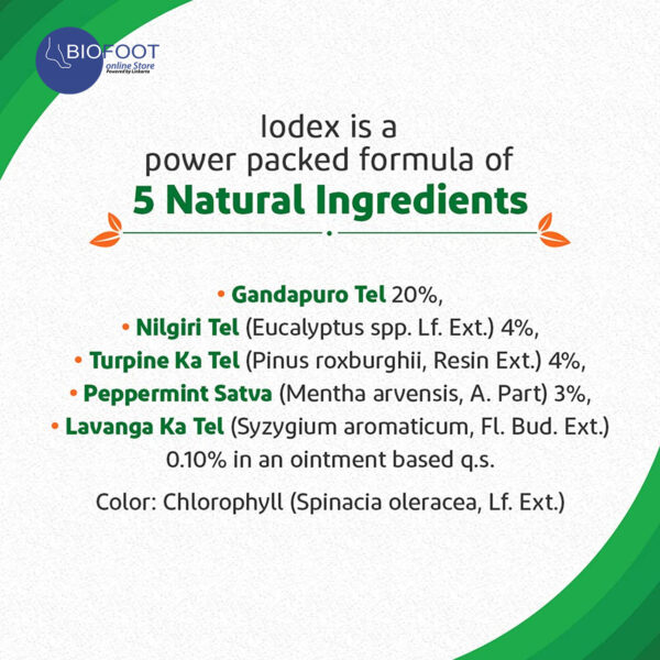 Iodex Body Pain Expert 16g - Image 2