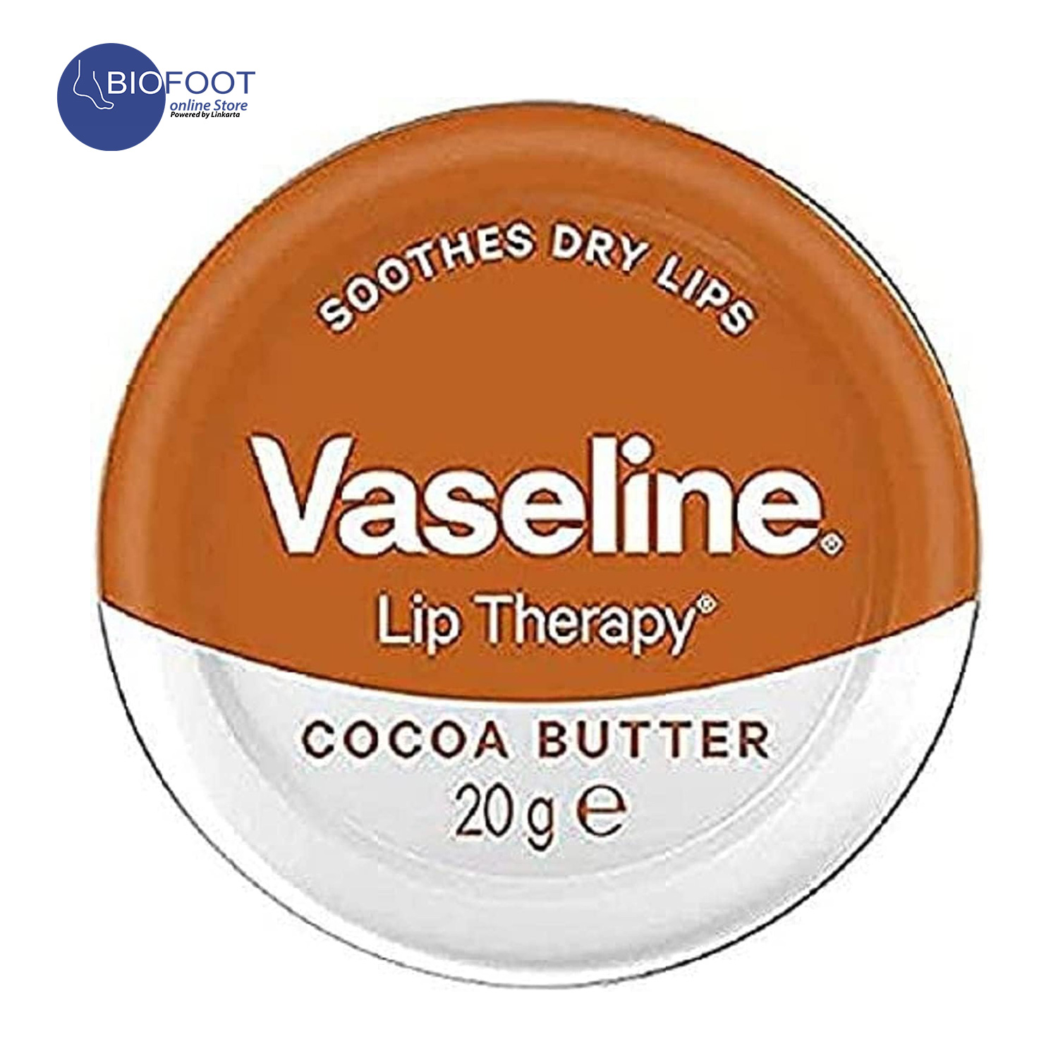 Vaseline Lip Therapy Cocoa Butter 20g Online Shopping Dubai UAE