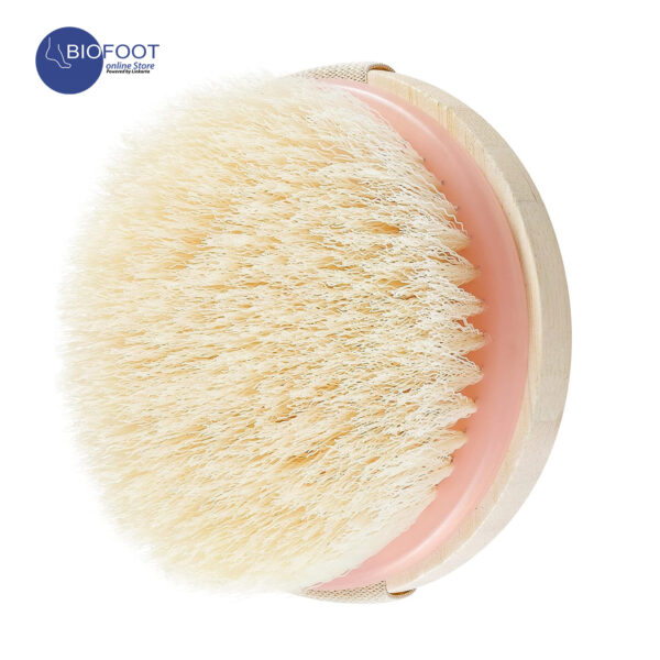 EcoTools Dry Body Brush Cruelty Free Bristle 74254 - Image 3