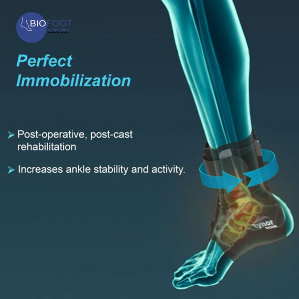 Tynor Ankle Brace D-02 - Image 3