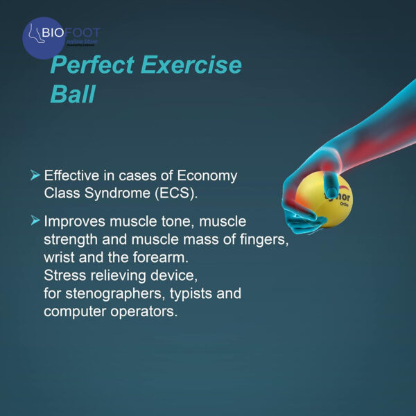 Tynor Exercising Ball Neuro H-05 - Image 2
