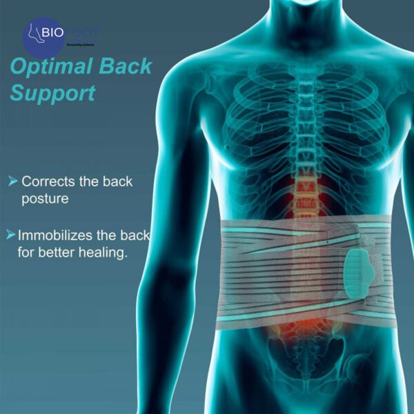 Tynor Lumbo Sacral Belt A-05 - Image 3