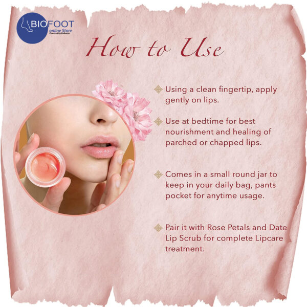 Khadi Wild Rose Lip Blam SPF20 5g - Image 3