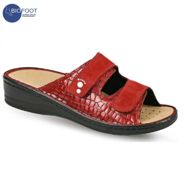 Podartis Alipes Red (Cocco Rosso) SR10199