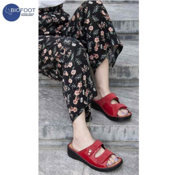 Podartis Alipes Red (Cocco Rosso) SR10199 - Image 2