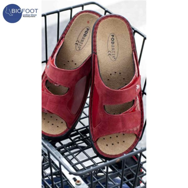 Podartis Alipes Red (Cocco Rosso) SR10199 - Image 4