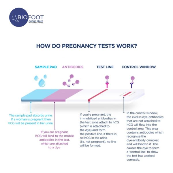 Touch Midstream Pregnancy  Test HCG Large - Image 3