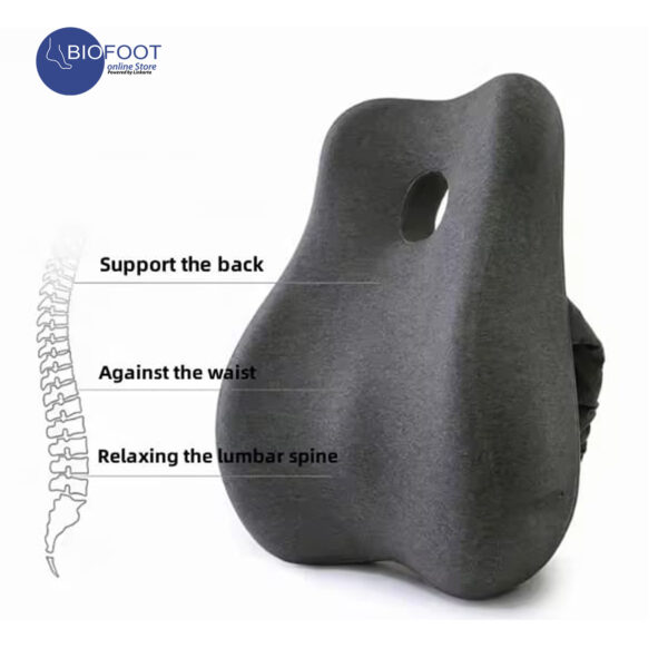 Biofoot Comfortable Breathable Memory Foam Back Support - Image 3