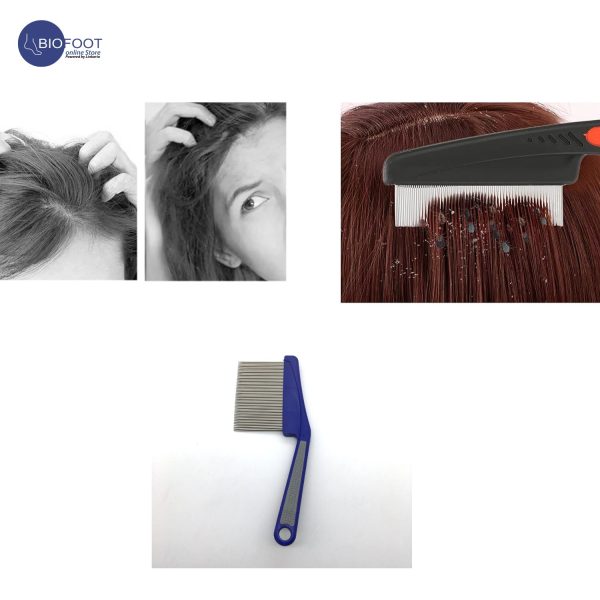 Ezycare Long Tooth Lice Comb 17331 - Image 2