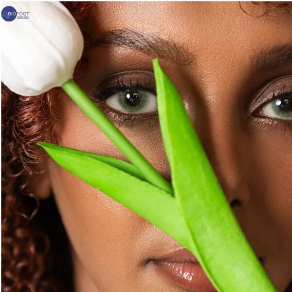 Sumita Color Perfect Contact Lenses Pair Ocean Green - Image 4