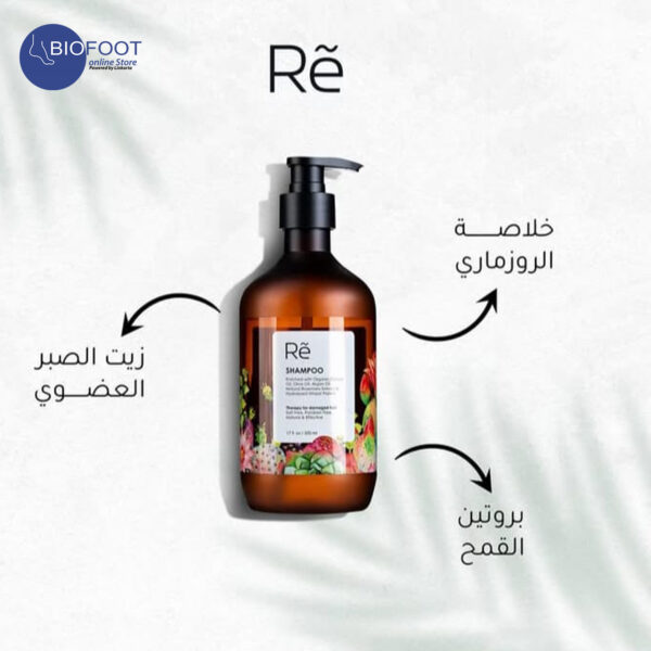 Re Shampoo Therapy for Damaged Hair 500ml - Image 2